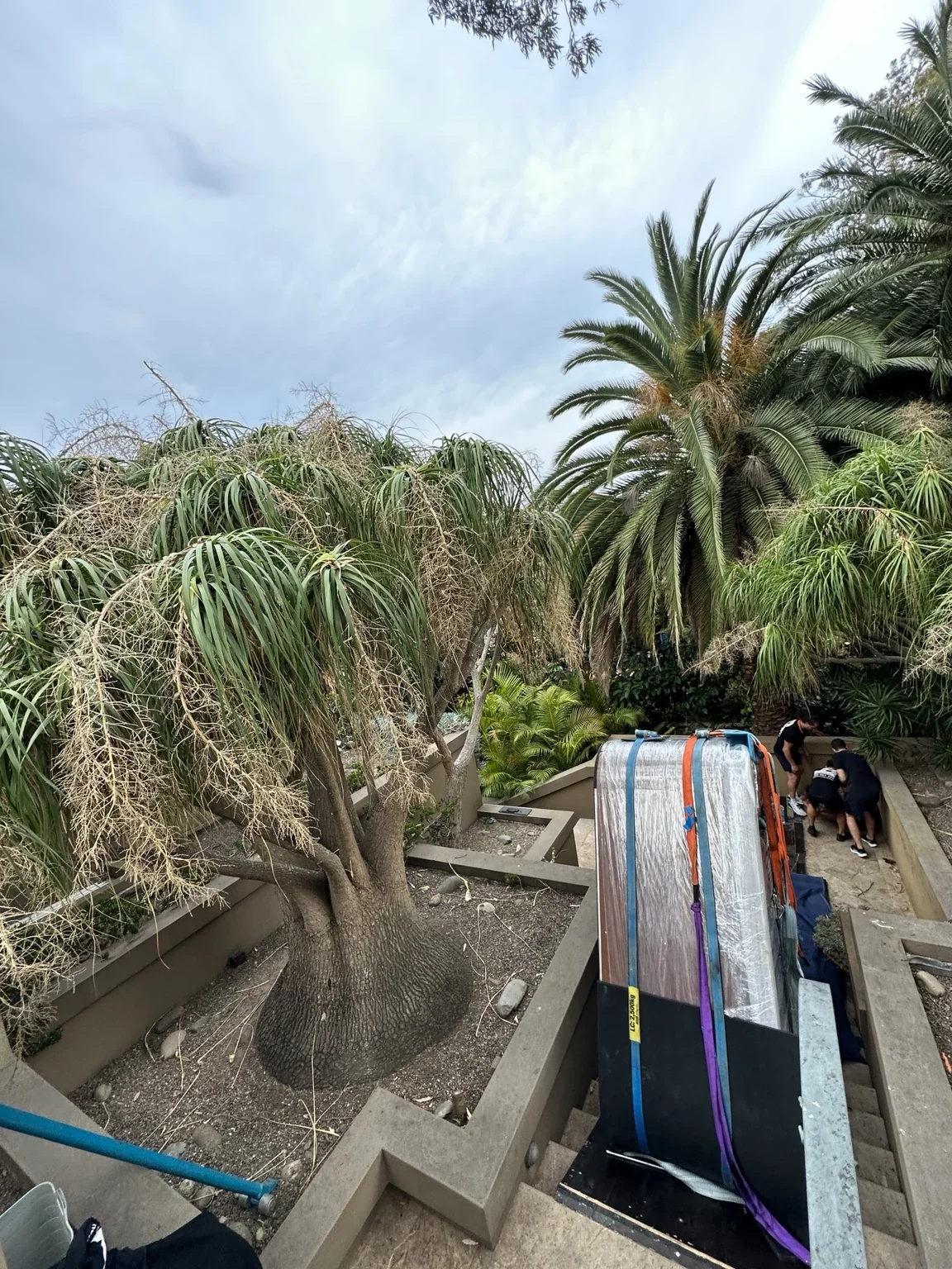 Spa on its side between retaining walls beside palms and garden beds